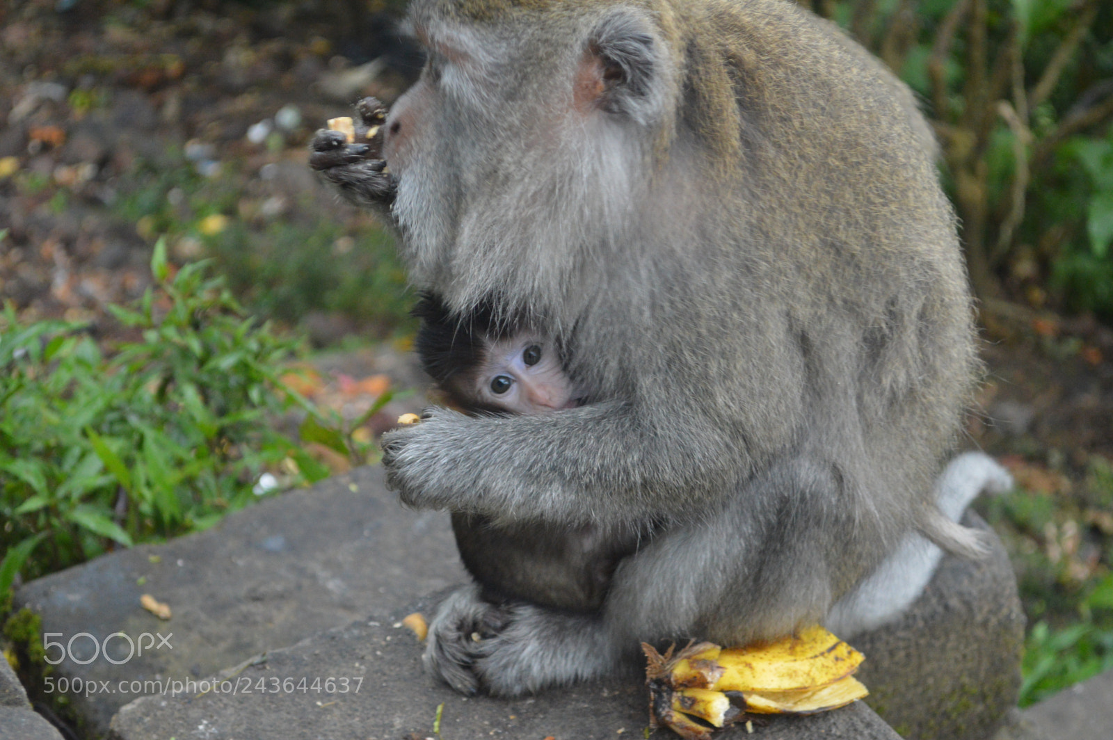 Nikon D3200 sample photo. Bali photography