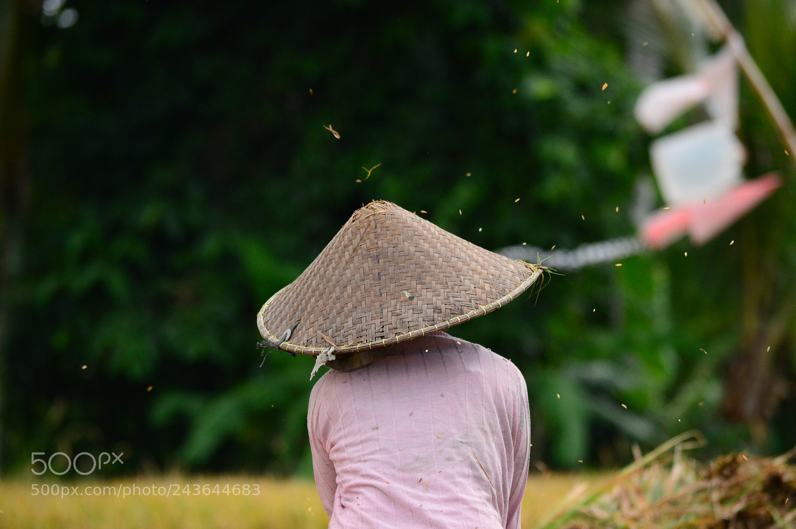 Nikon D3200 sample photo. Bali photography
