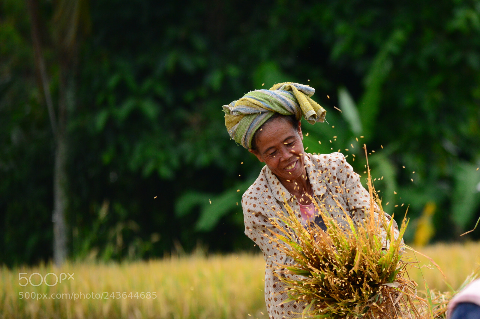Nikon D3200 sample photo. Bali photography