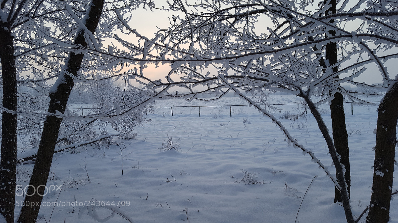 Samsung Galaxy S6 sample photo. Mornig... photography