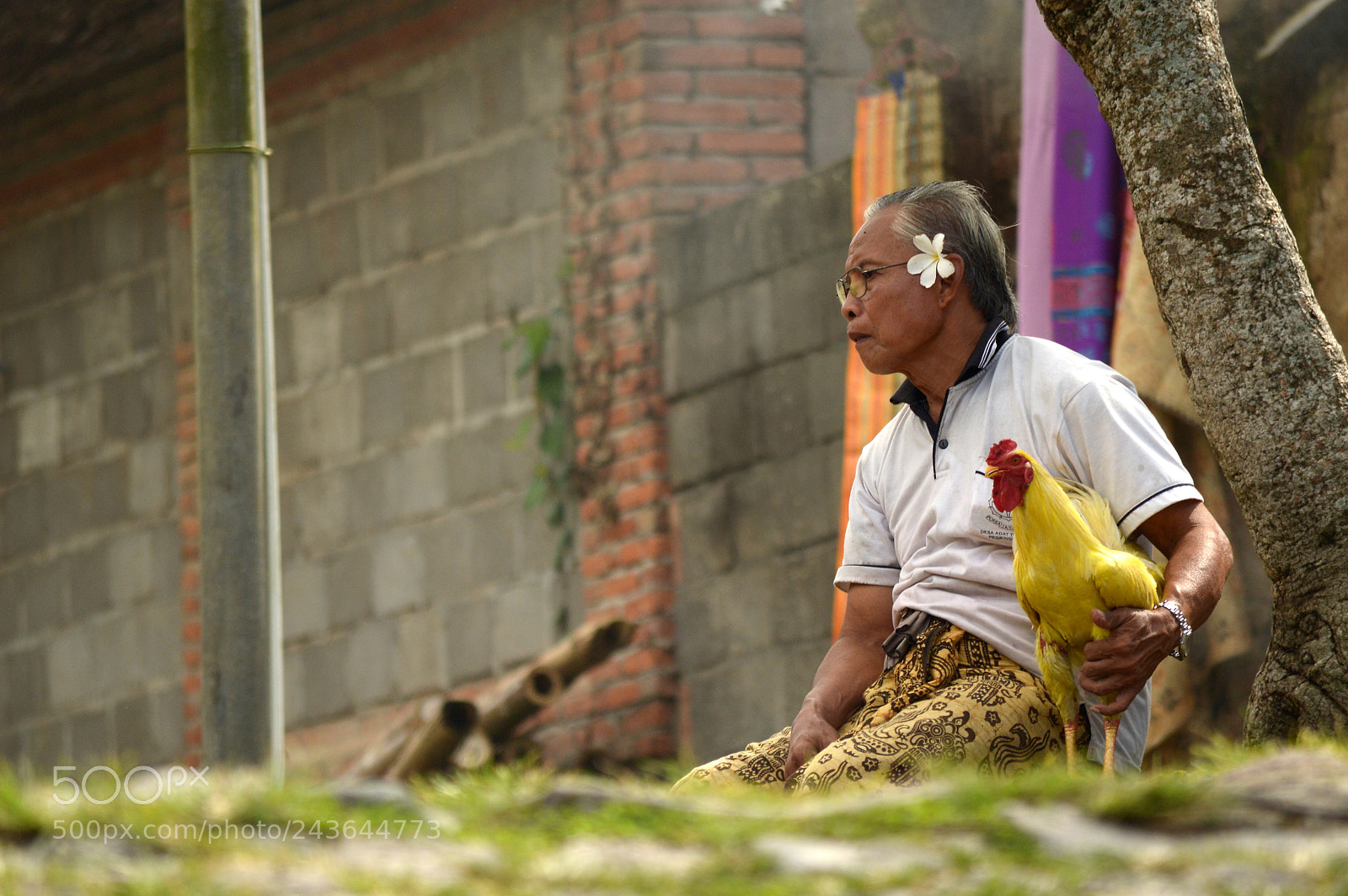 Nikon D3200 sample photo. Bali photography