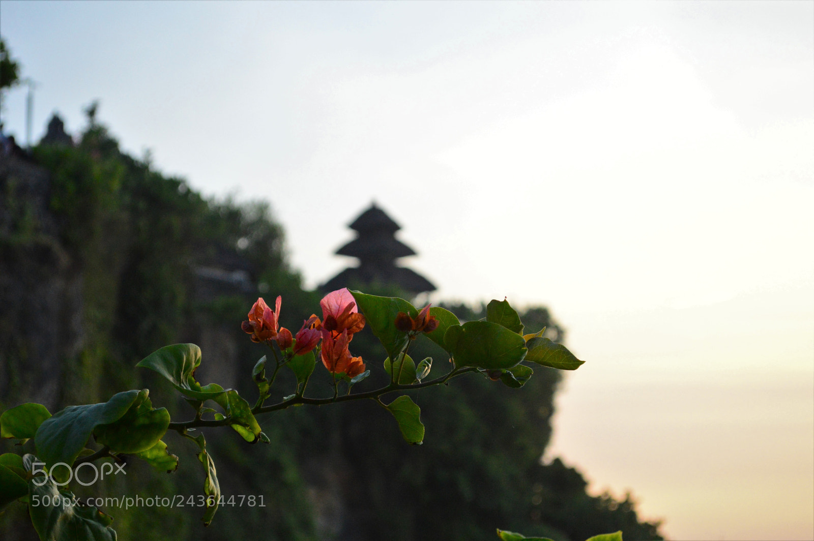 Nikon D3200 sample photo. Bali photography