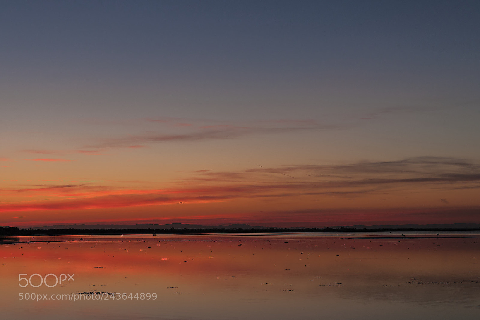 Nikon D300 sample photo. Camargue al tramonto photography