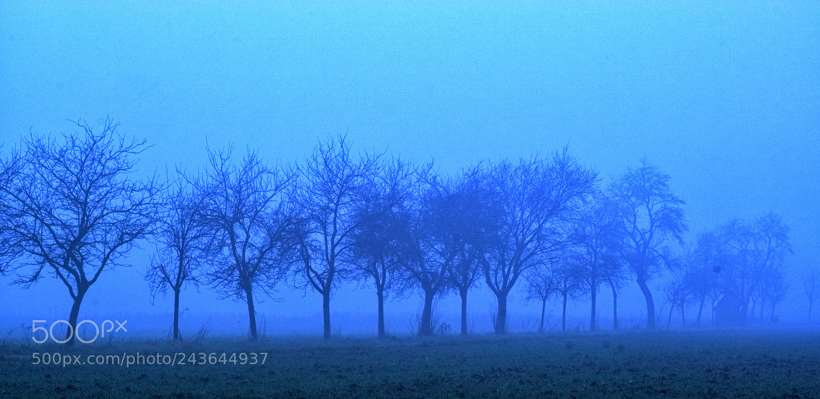 Sony ILCA-77M2 sample photo. Fog of horror photography