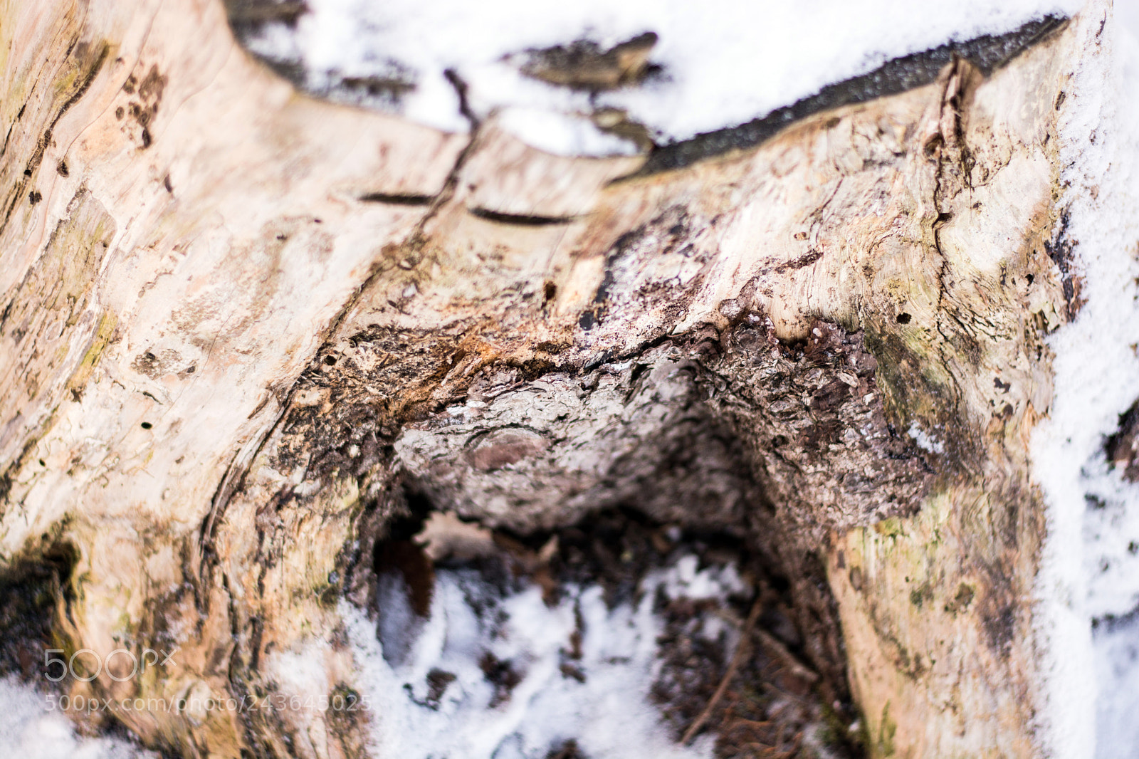 Nikon D7100 sample photo. The passage of time photography