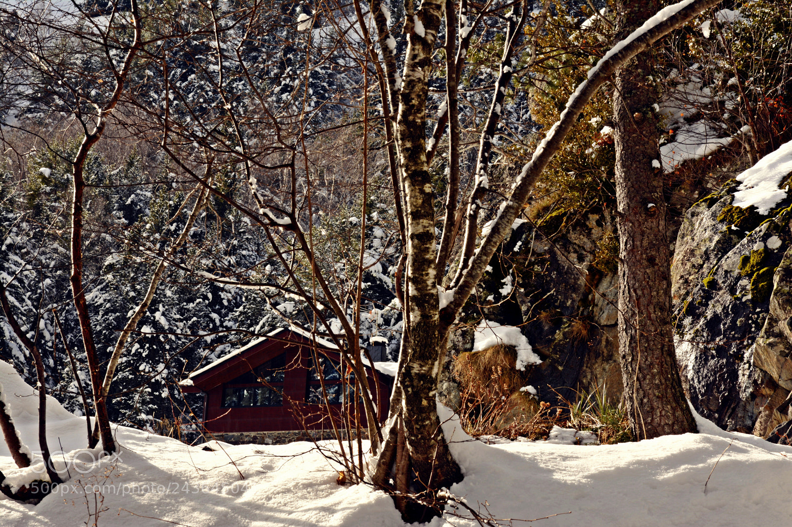 Nikon D7100 sample photo. Winter cabin photography