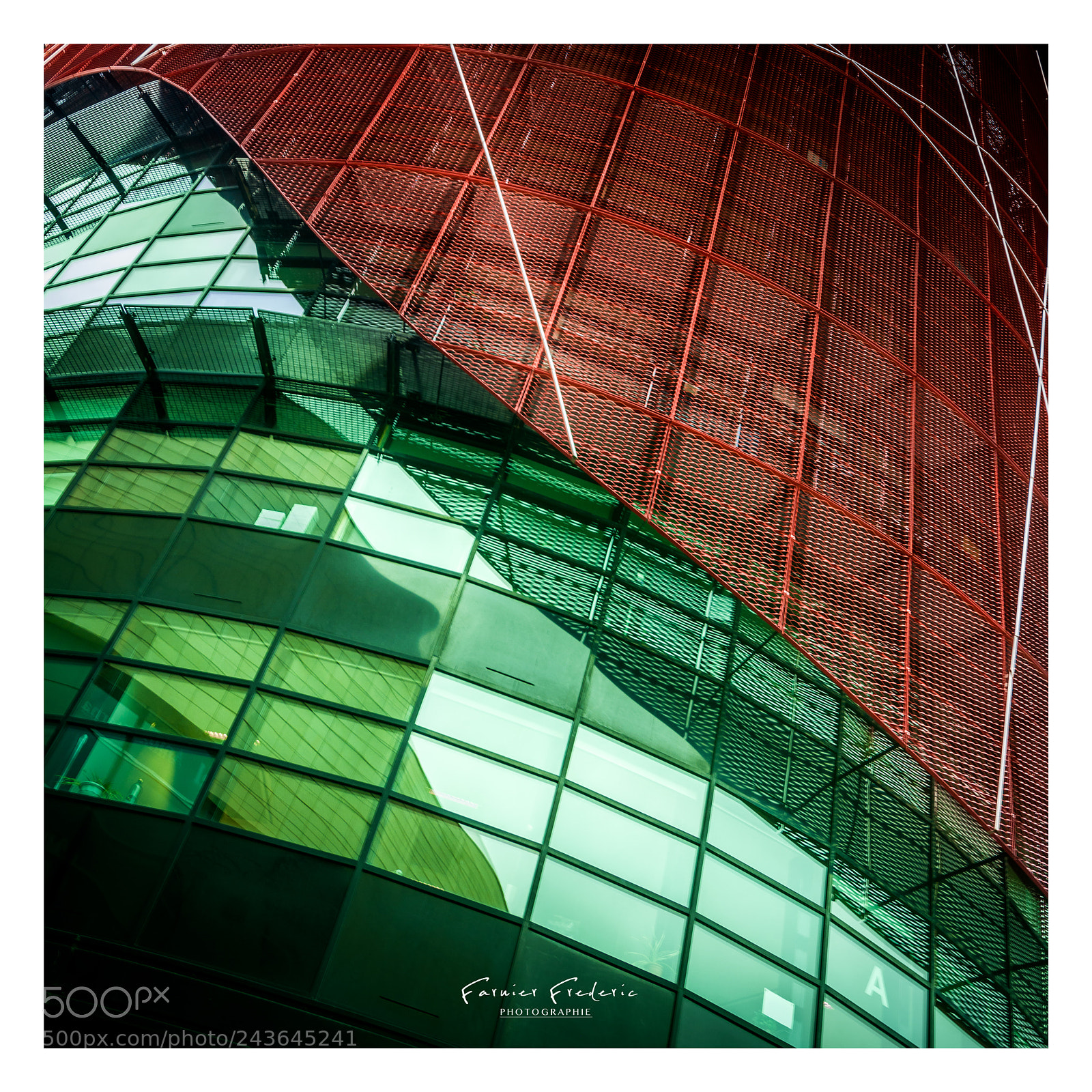 Nikon D7100 sample photo. Green and red photography