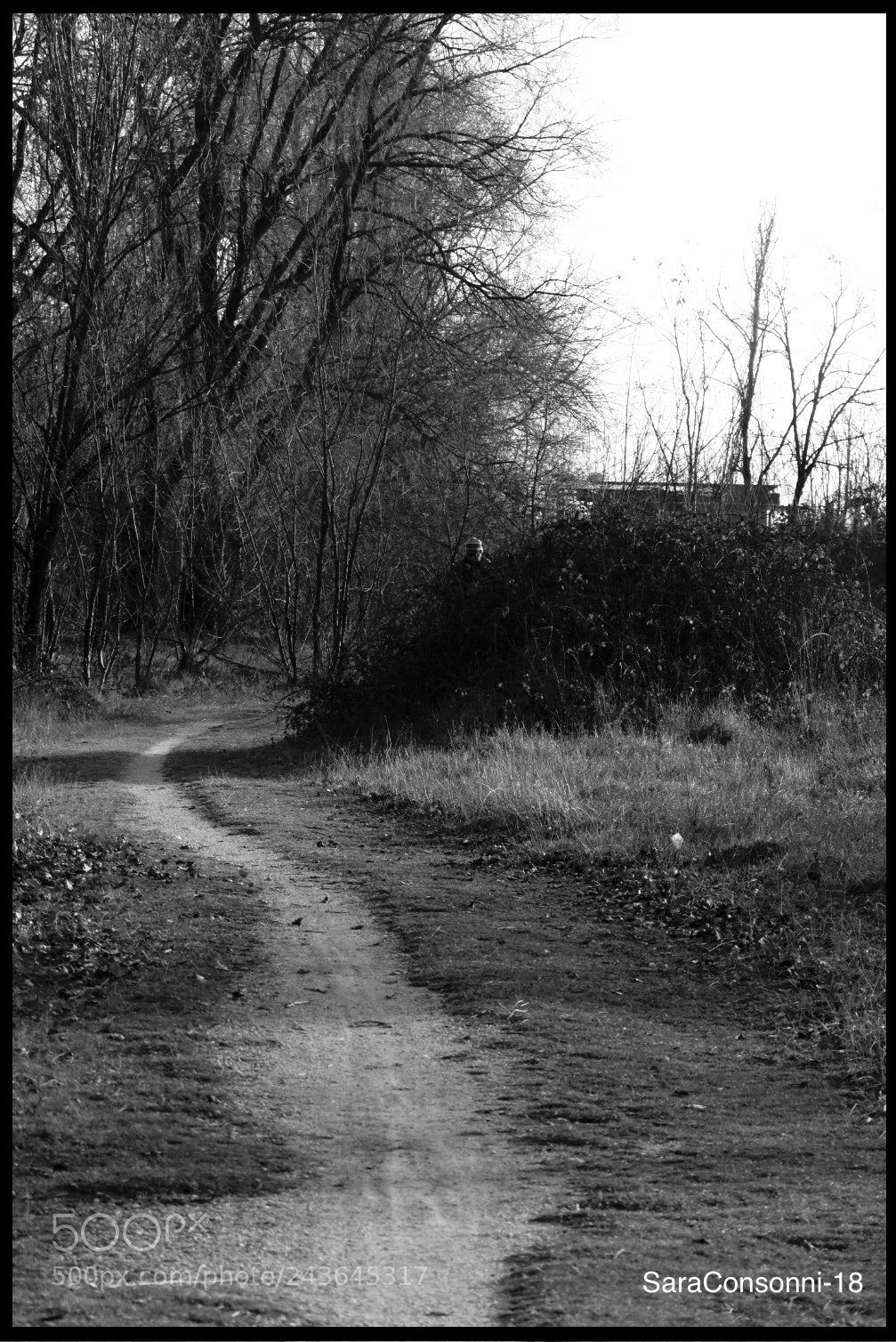 Nikon D7200 sample photo. Strada di campagna photography