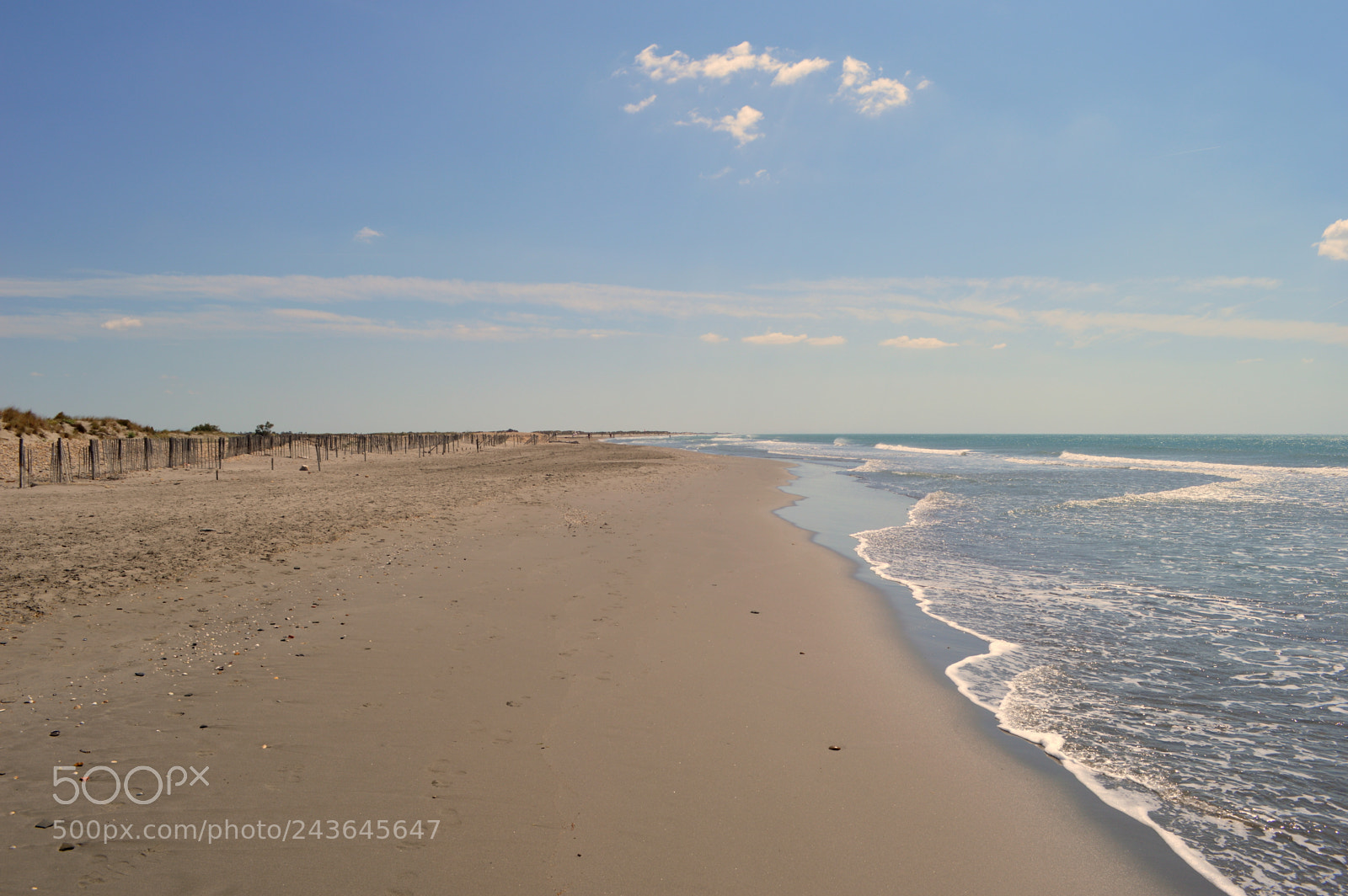 Nikon D3200 sample photo. Camargue photography