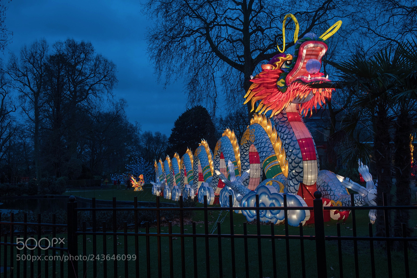 Nikon D500 sample photo. Glowdragon photography