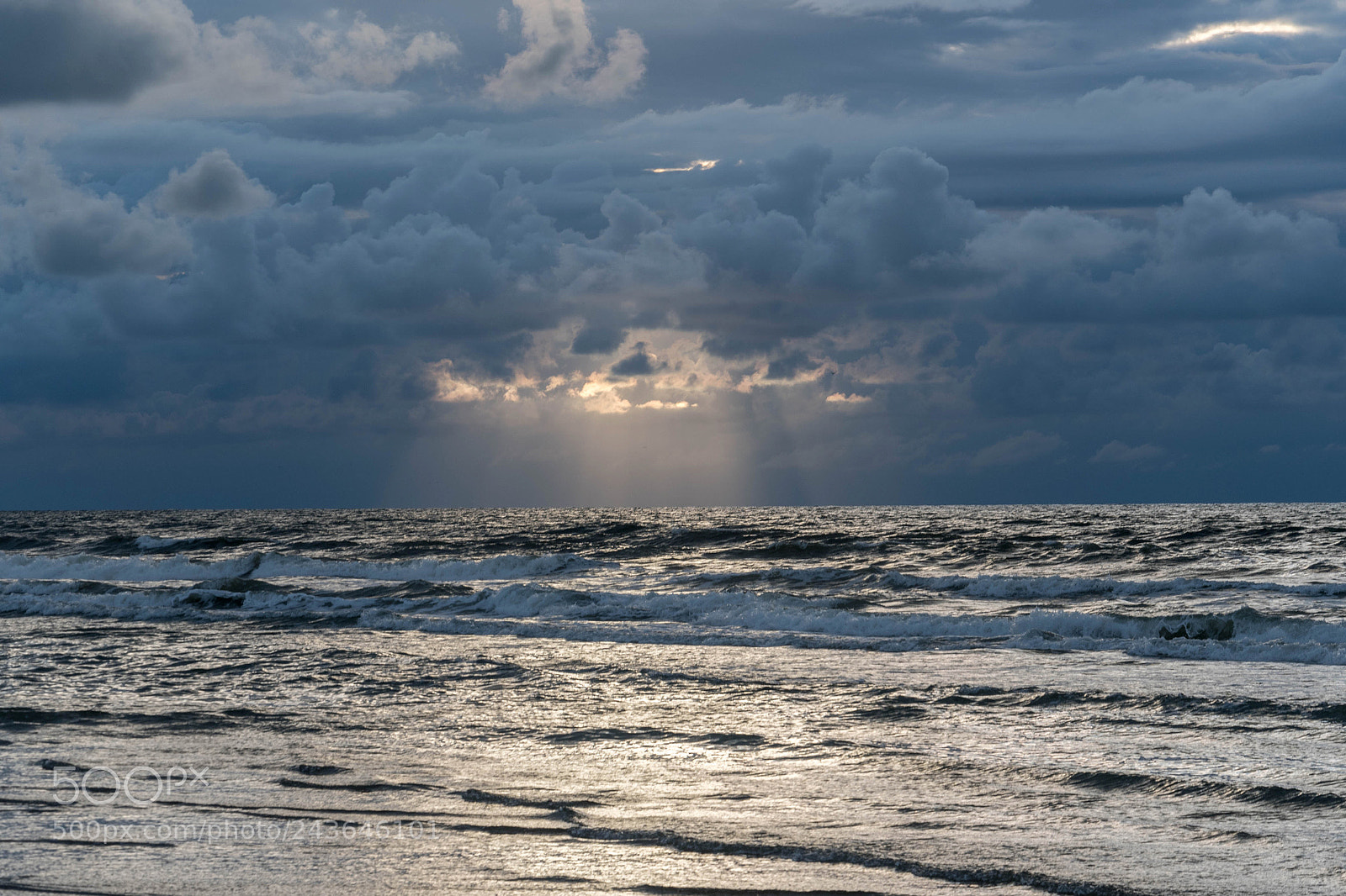 Nikon D500 sample photo. Prettylight photography