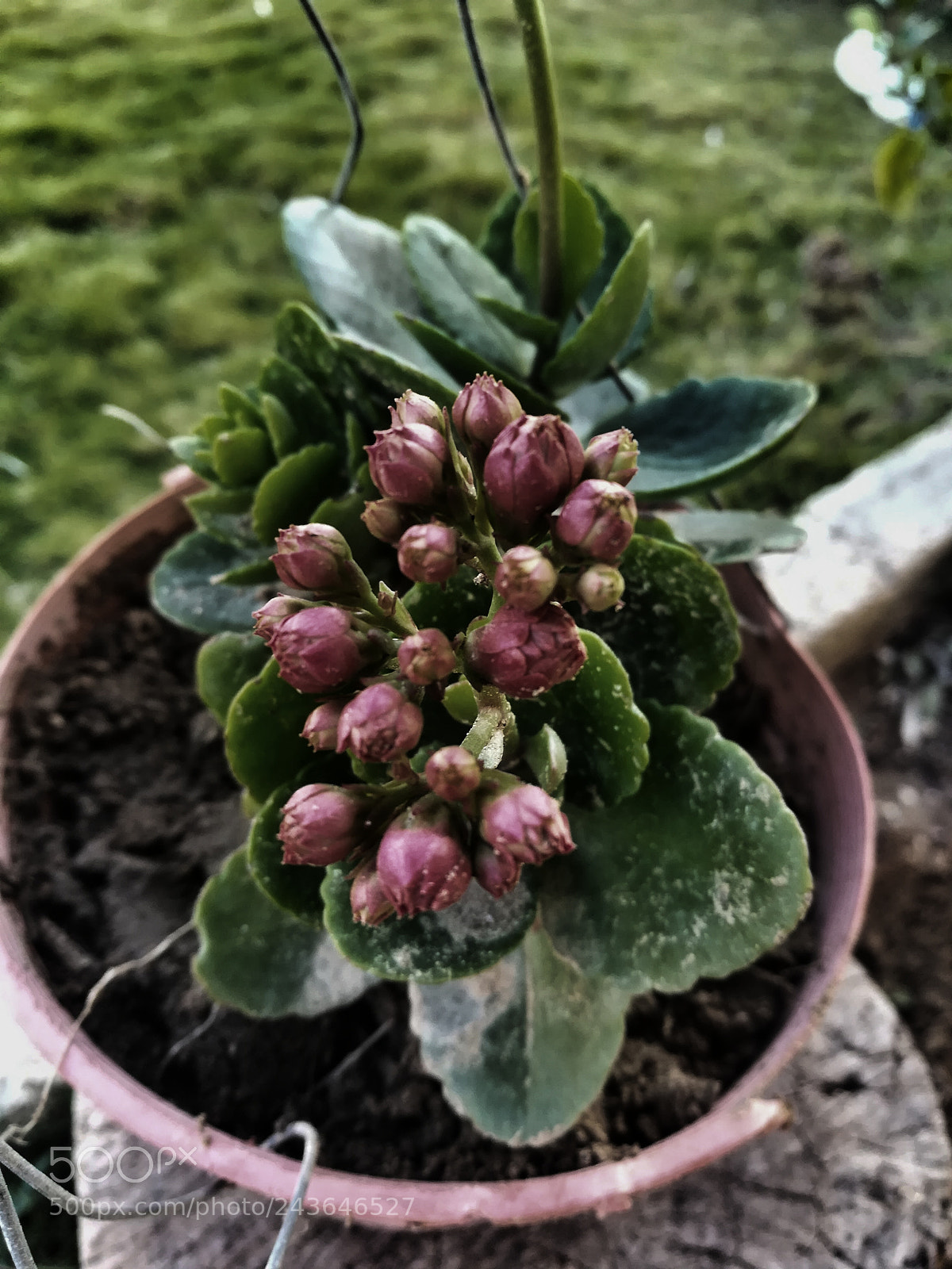 HUAWEI GR5 2017 sample photo. Untitled photography