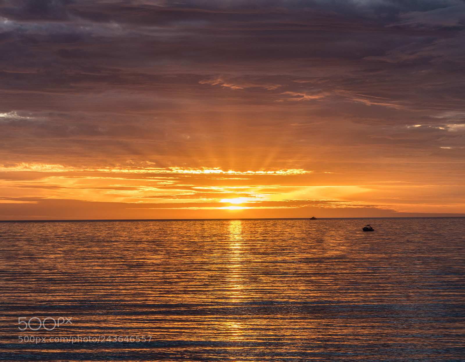 Nikon D850 sample photo. Sunset over brighton photography