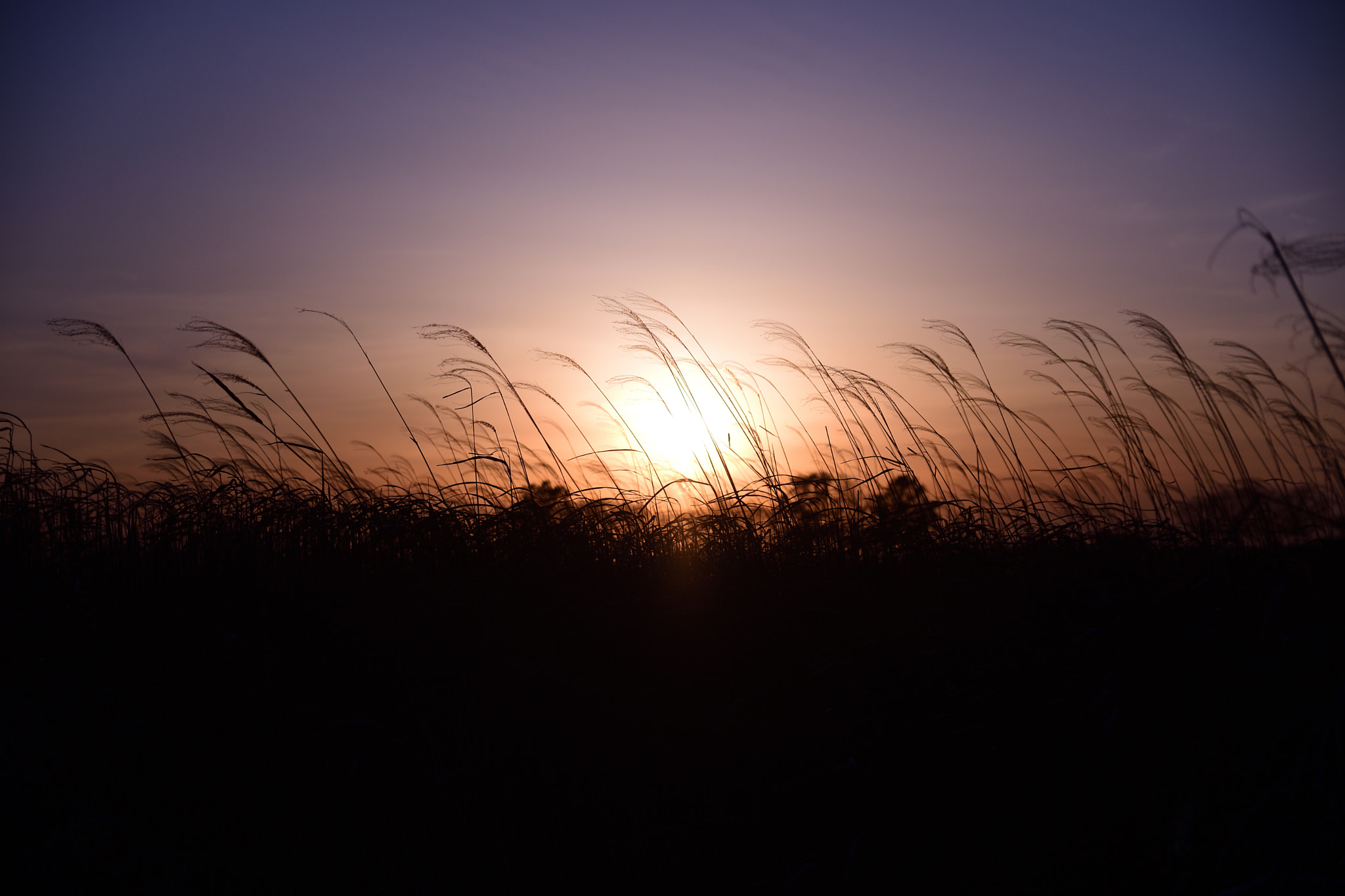 Sigma 17-50mm F2.8 EX DC OS HSM sample photo. Sunset photography