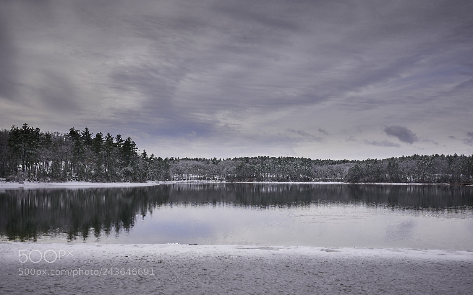 Panasonic Lumix DMC-GX85 (Lumix DMC-GX80 / Lumix DMC-GX7 Mark II) sample photo. Winter view of walden photography