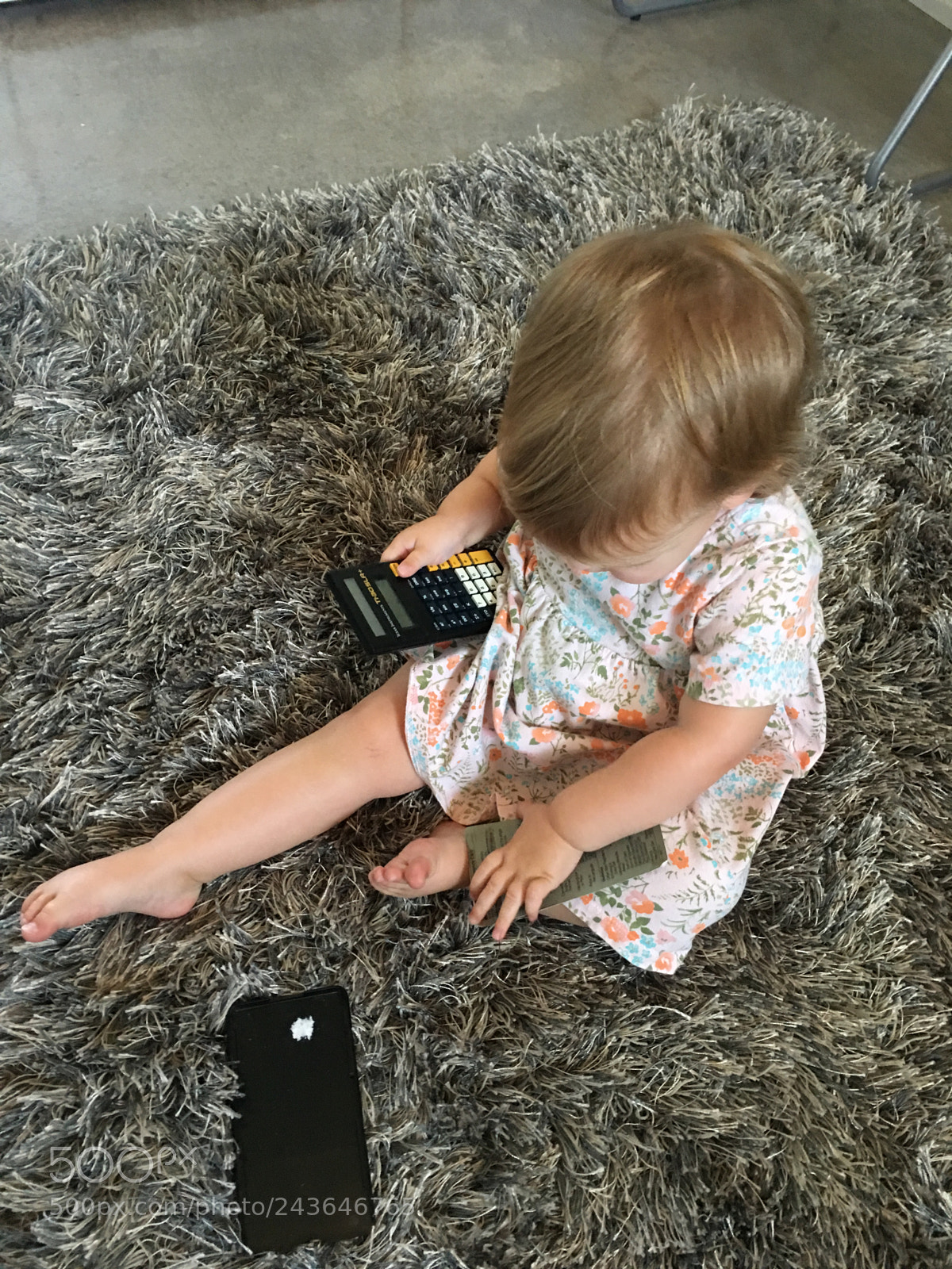 Apple iPhone 6s Plus sample photo. Wren photography