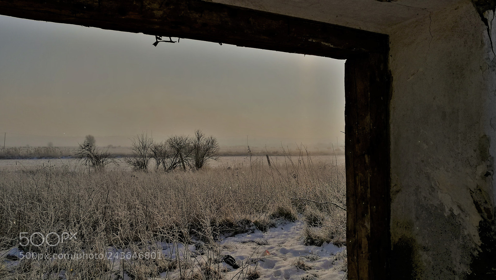 HUAWEI P9 sample photo. Window to winter photography