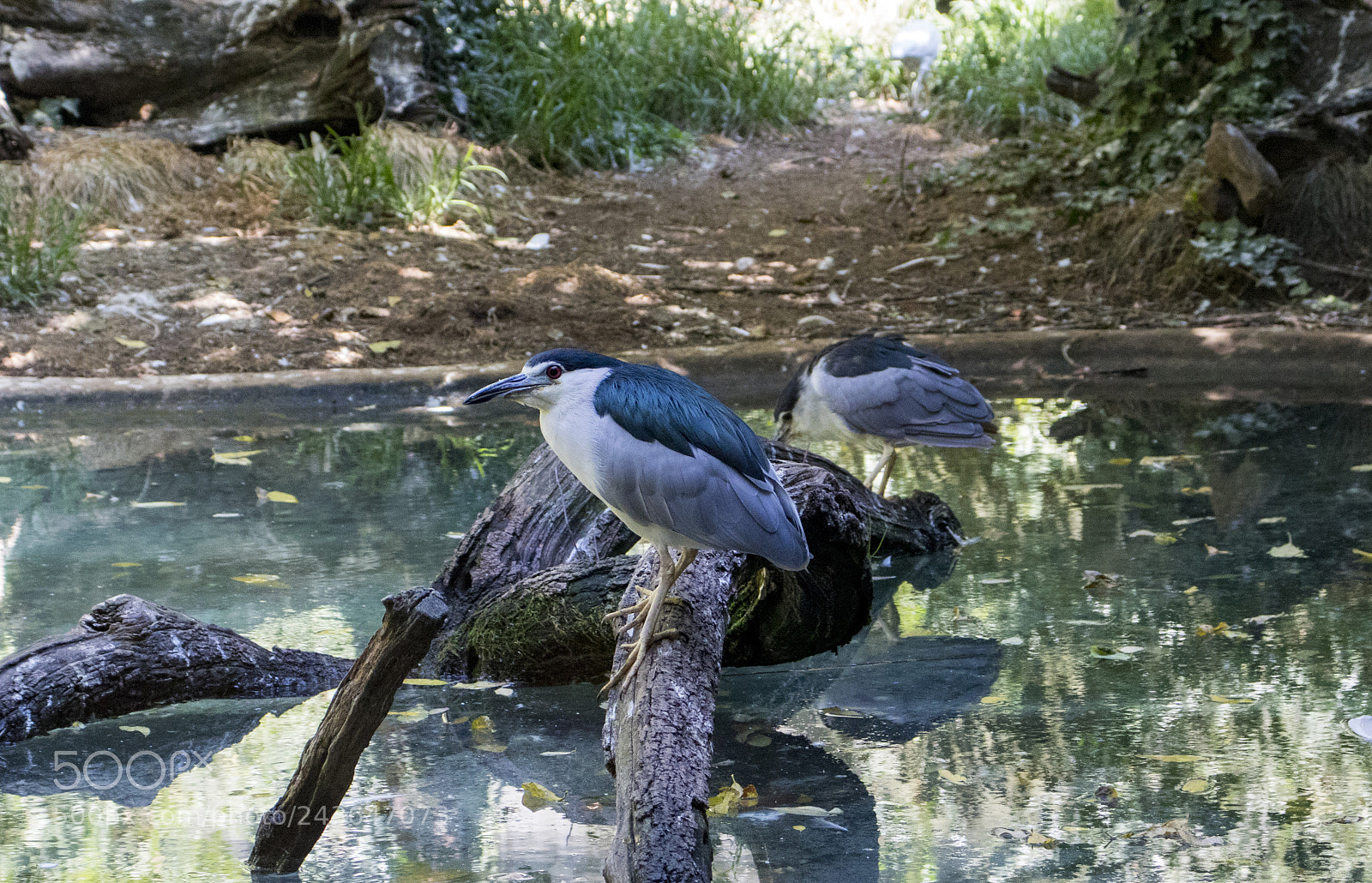 Canon EOS 77D (EOS 9000D / EOS 770D) sample photo. Untitled photography