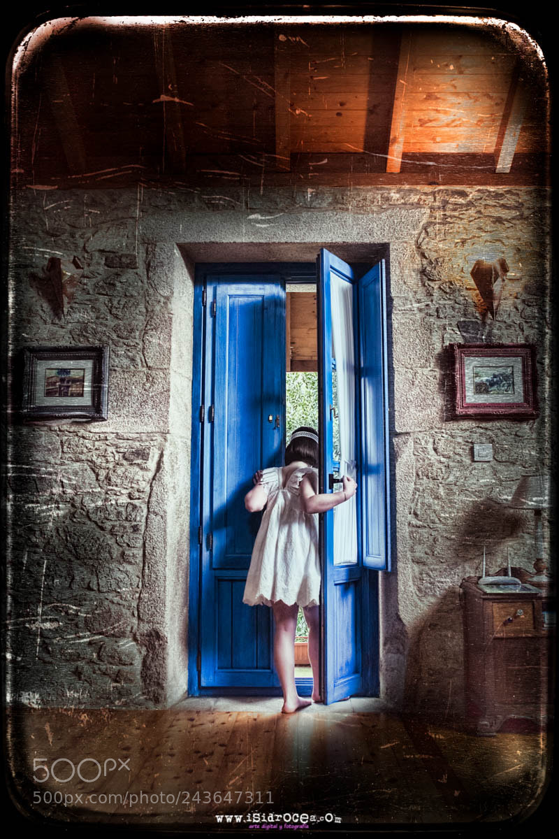 Olympus OM-D E-M1 sample photo. Narnia photography