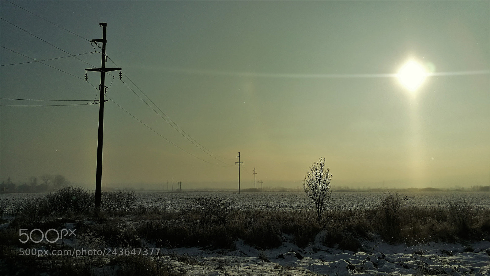 HUAWEI P9 sample photo. Fields of winter photography