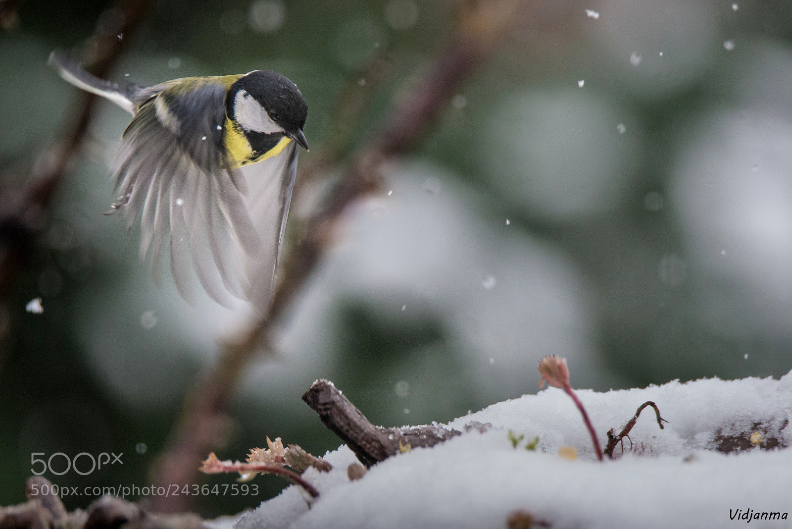 Nikon D610 sample photo. Landing photography