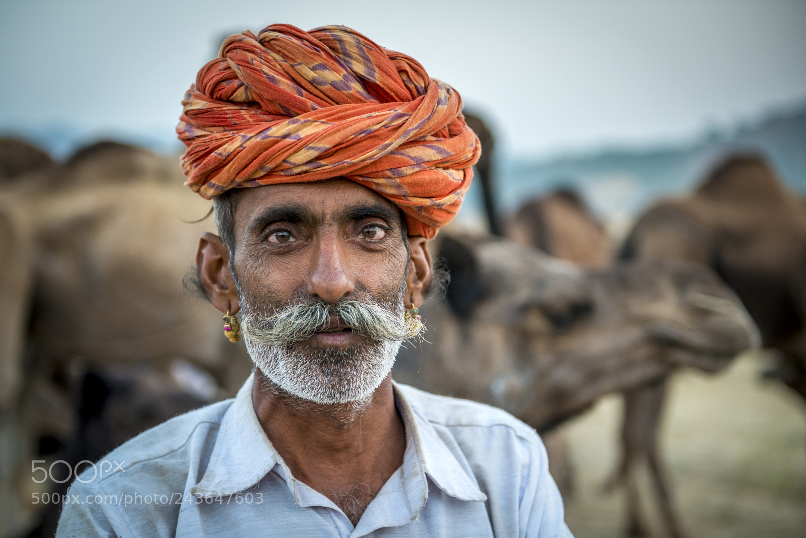 Nikon D800 sample photo. Portrait of india man photography