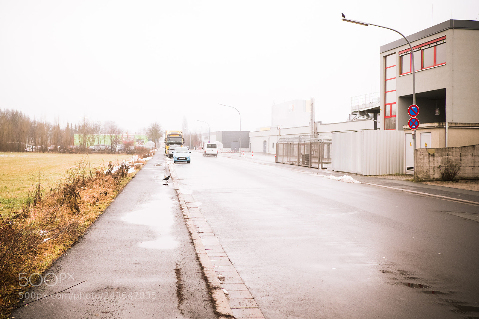 Fujifilm X-Pro2 sample photo. Counting crows photography