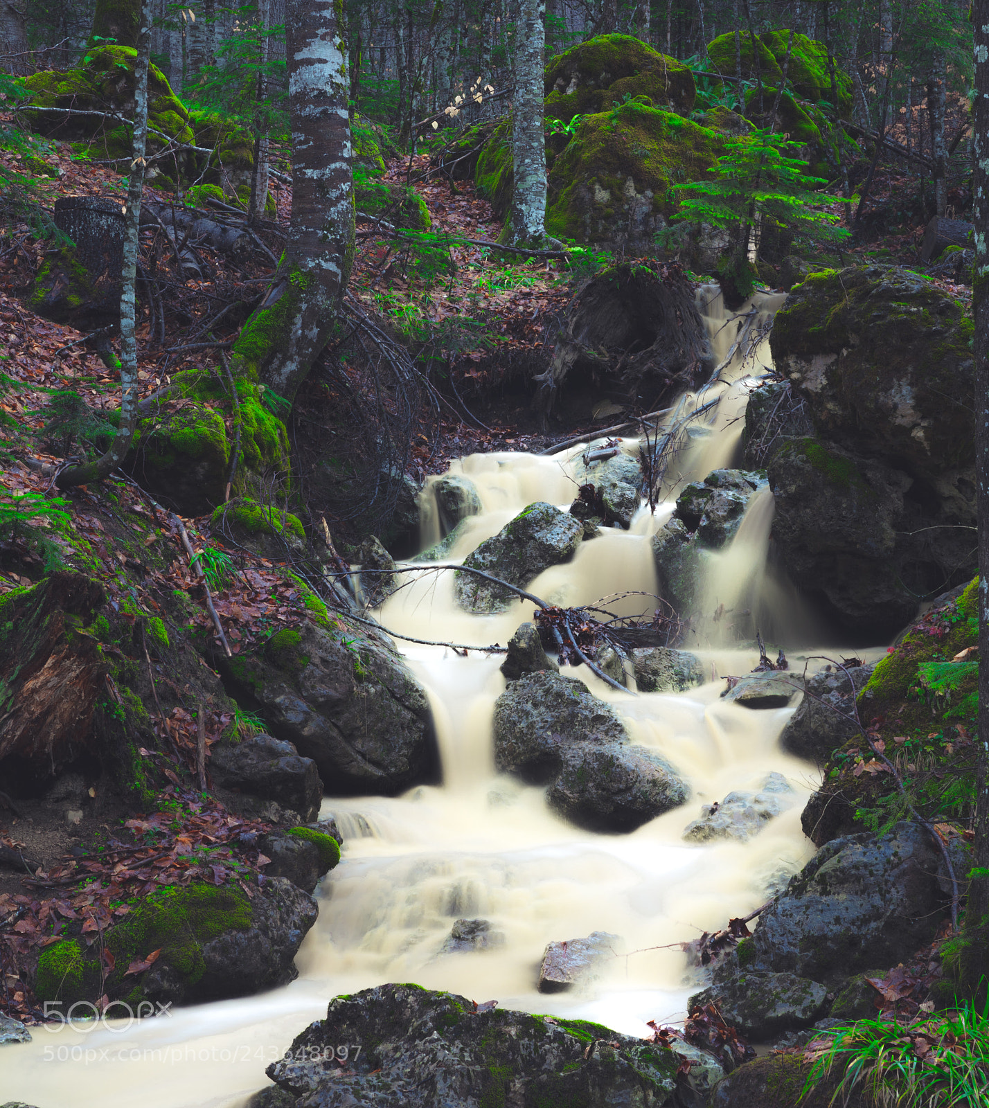 Canon EOS 5DS R sample photo. Milk river photography