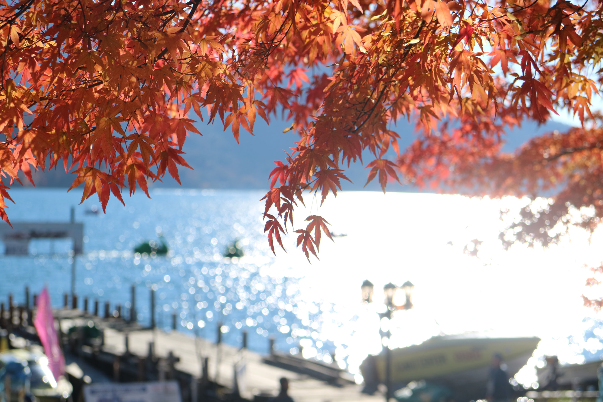 Canon EOS M3 sample photo. Autumn leaves photography