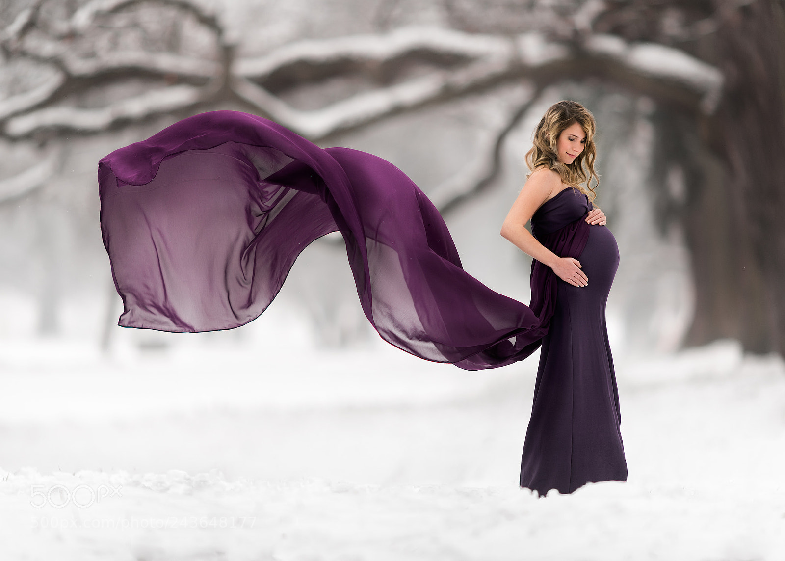 Nikon D810 sample photo. Purple whispers photography