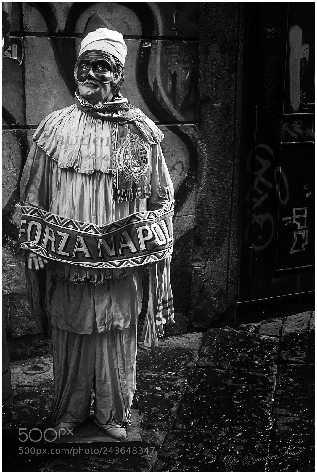 Nikon D7100 sample photo. Pulcinella photography