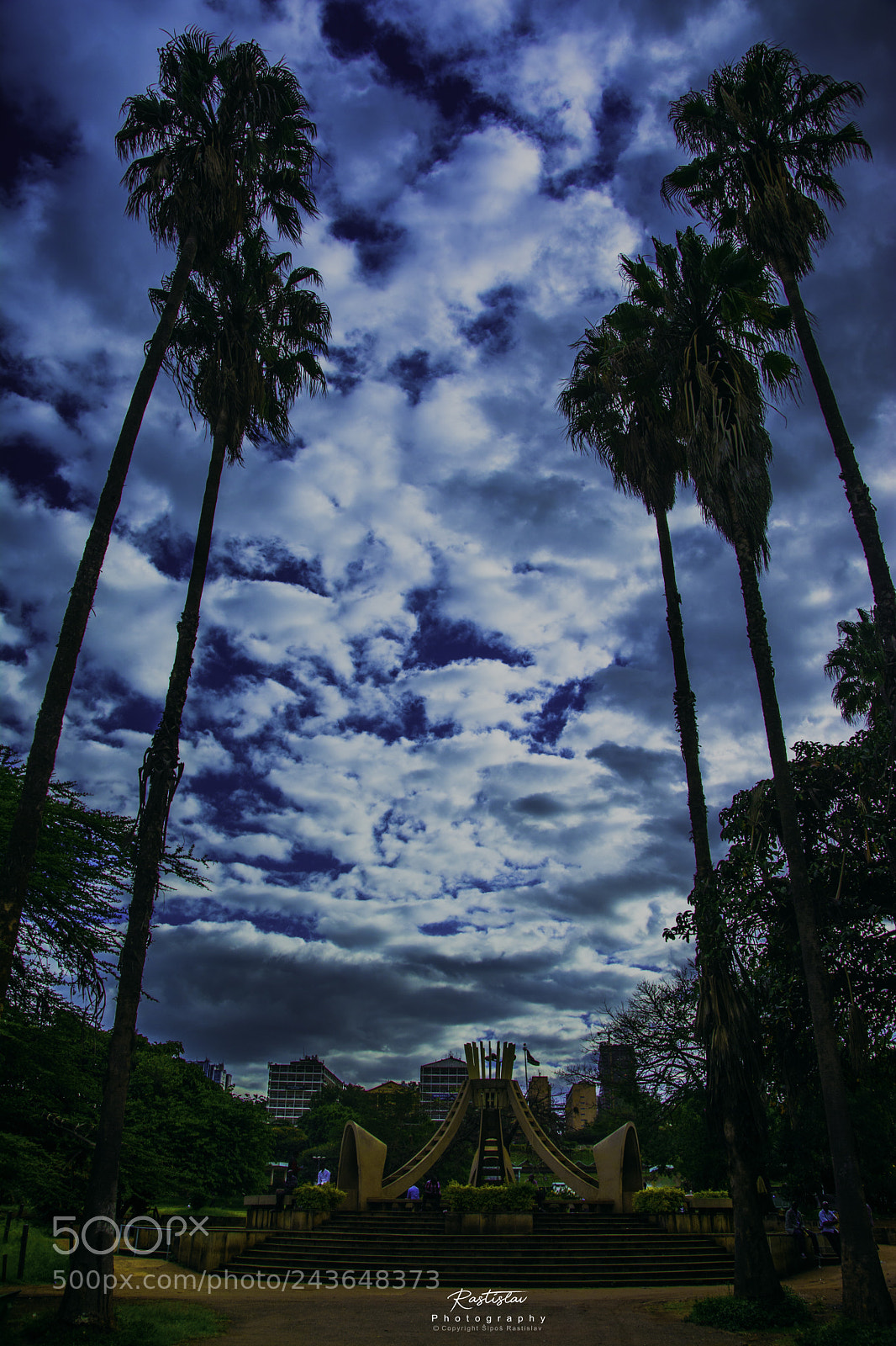 Nikon D7100 sample photo. Cloudy day in uhuru photography