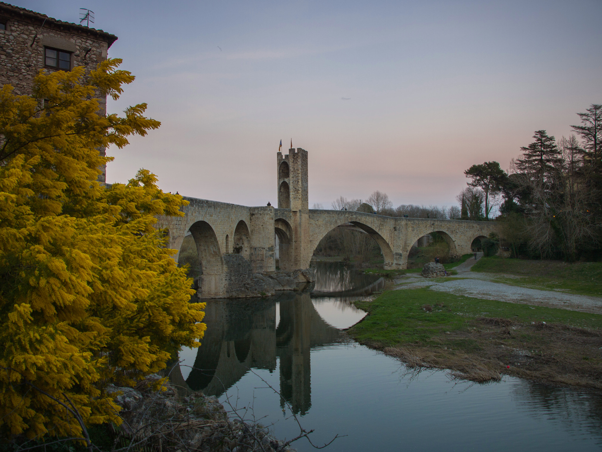 Panasonic Lumix DMC-L10 sample photo. Besalú medieval bridge photography