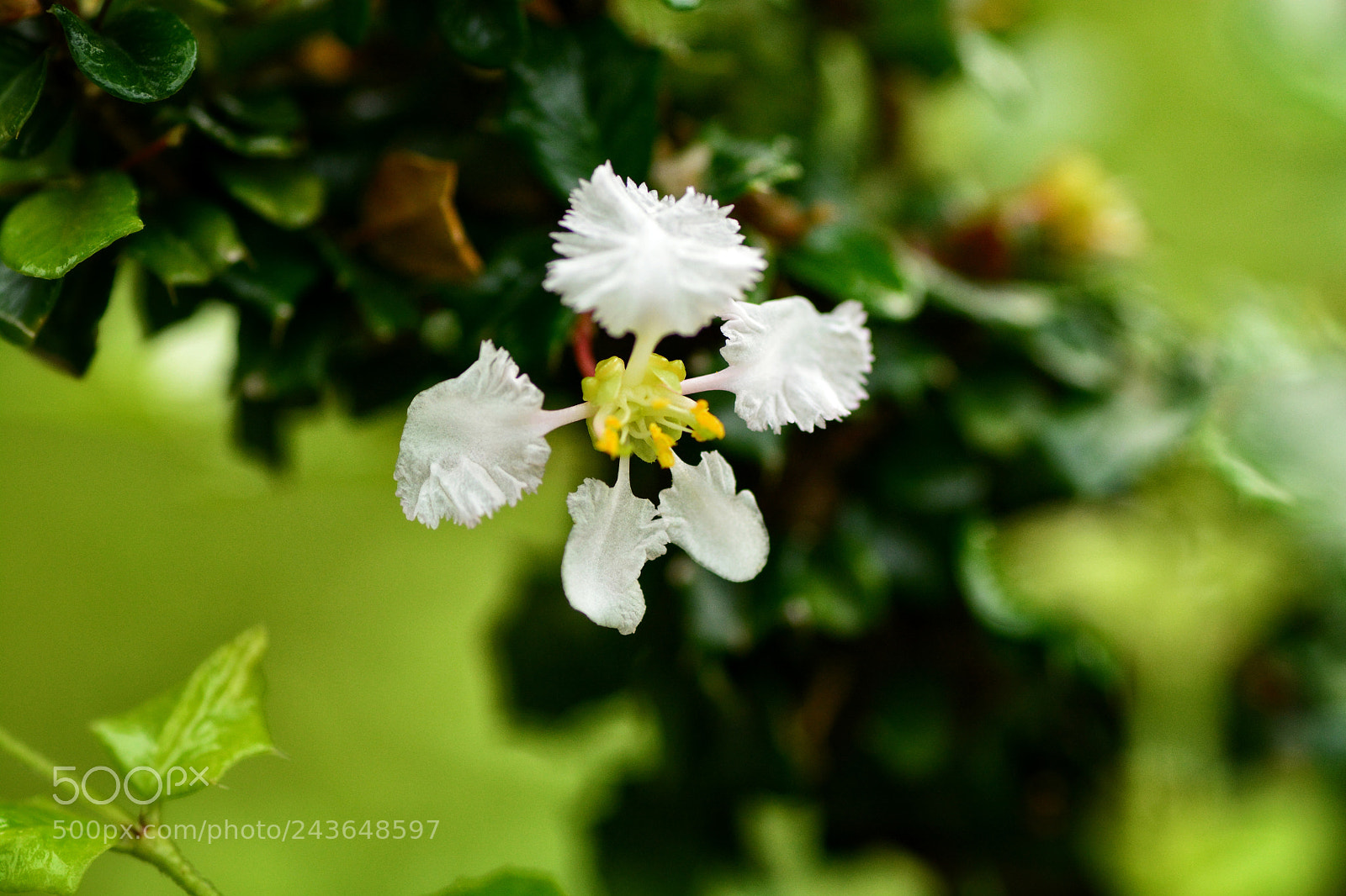 Nikon D7100 sample photo. Untitled photography