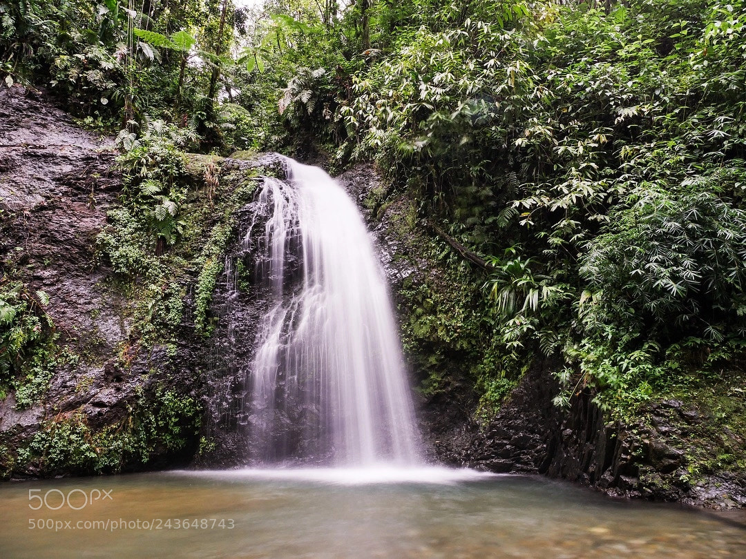 Panasonic Lumix DMC-GX8 sample photo. Cascade du saut du photography
