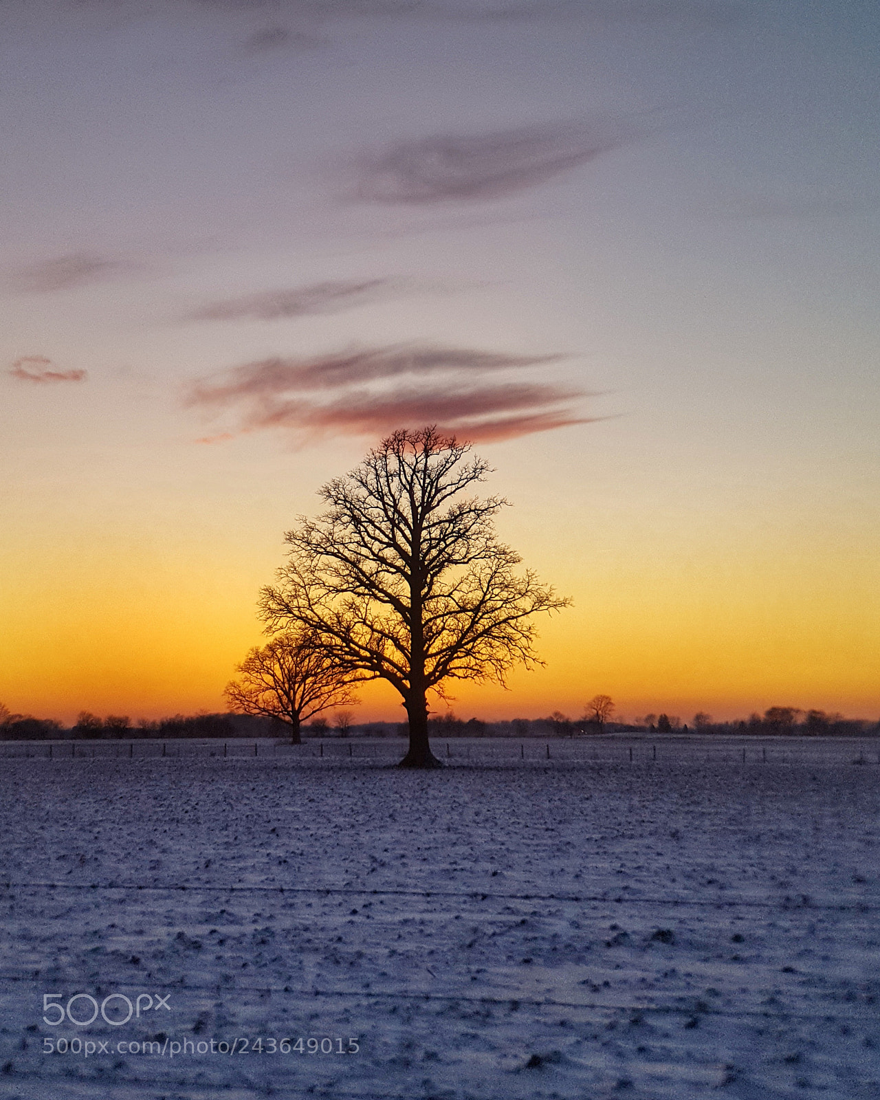 Samsung GALAXY S6 edge sample photo. Lonely trees at sunset photography