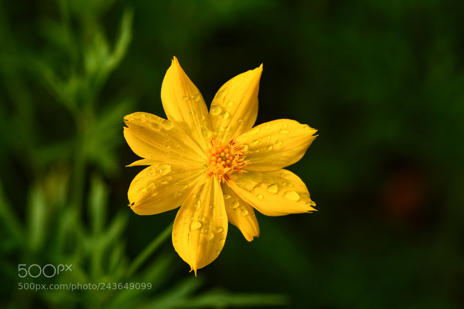 Nikon D7100 sample photo. Untitled photography