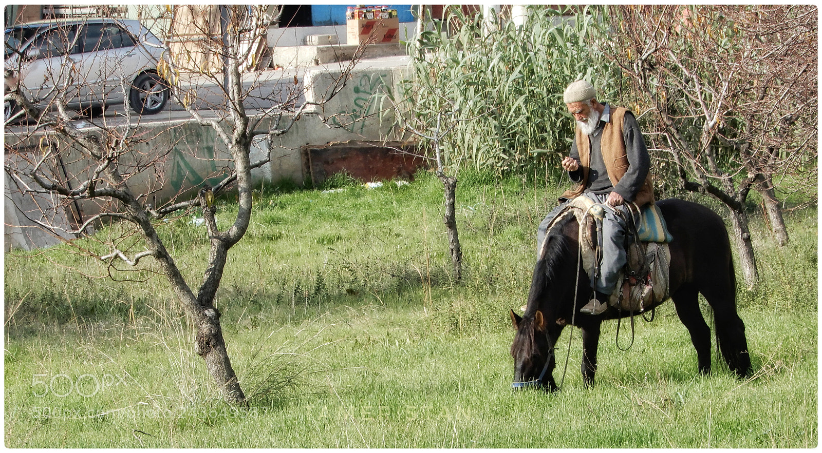 Nikon Coolpix A900 sample photo. The horseman and his photography