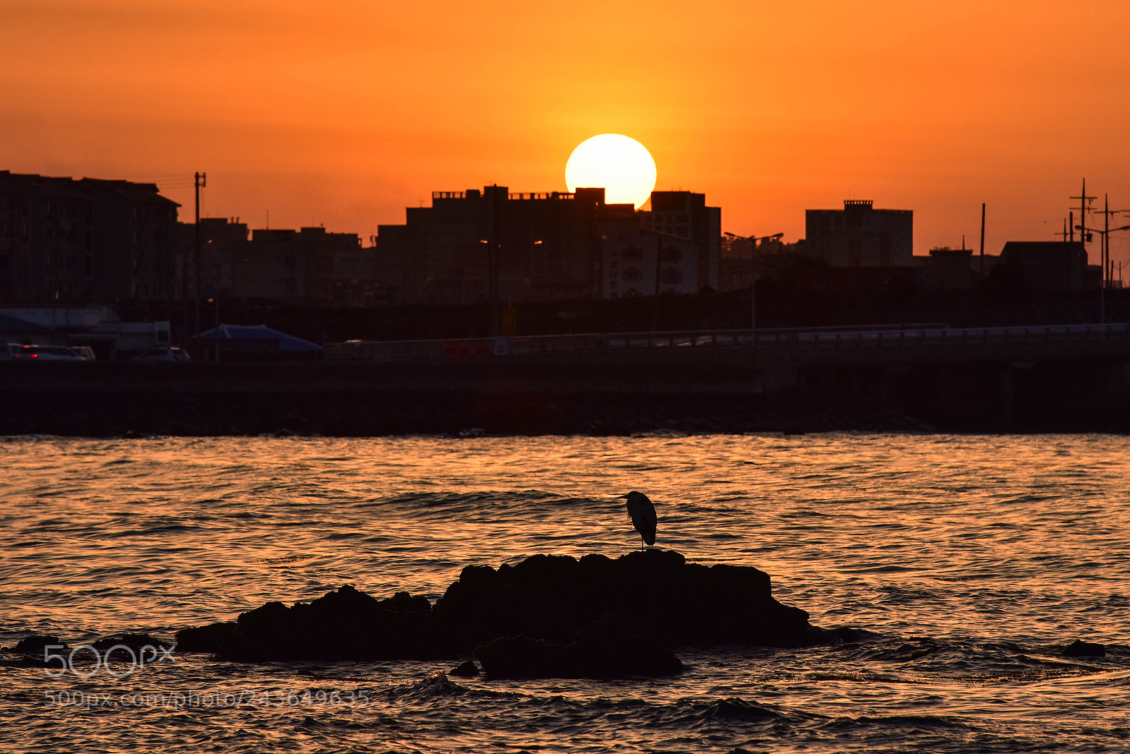 Nikon D810 sample photo. 이호테우해변의 일몰 photography