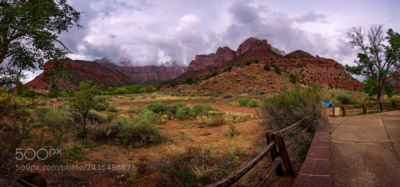 Nikon D810 sample photo. Zion national park photography