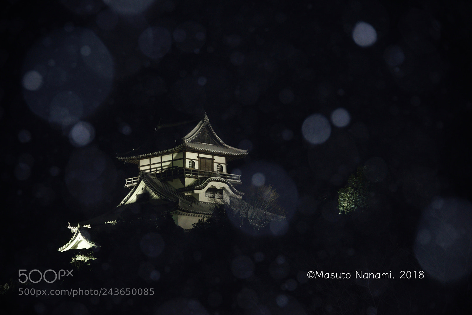 Nikon D610 sample photo. Inuyama castle under snow photography