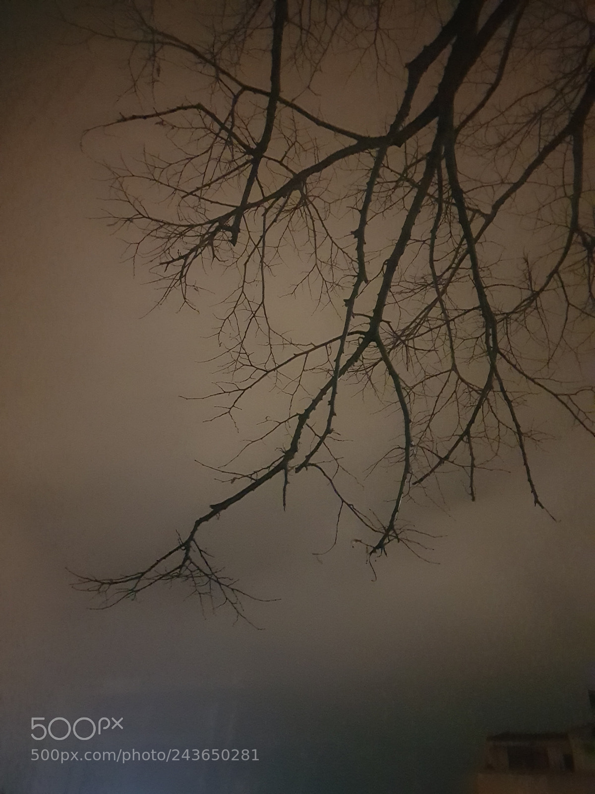 Samsung Galaxy S8 sample photo. Untitled photography