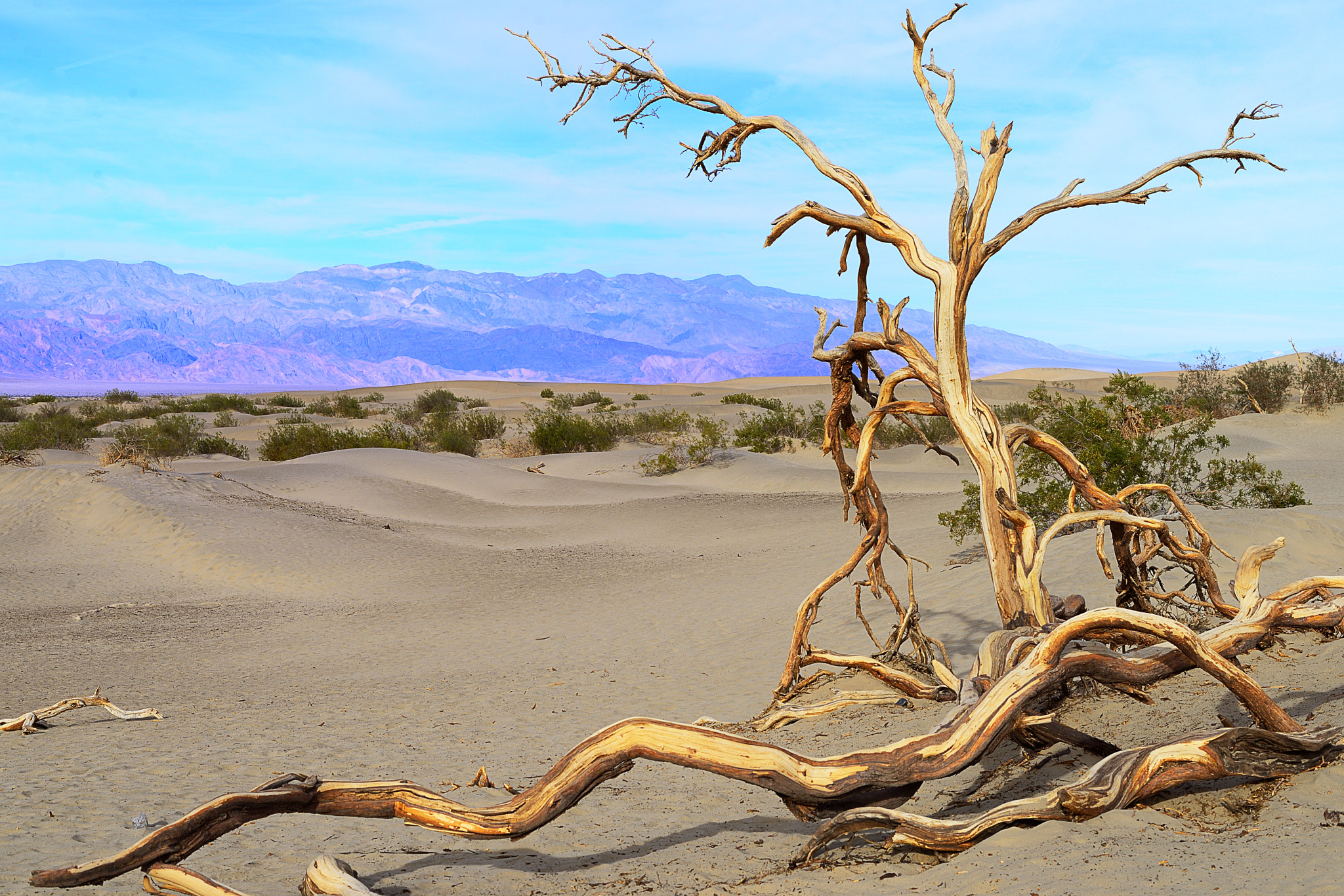 Nikon D600 + Nikon AF-S Nikkor 50mm F1.8G sample photo. Deathvalley photography