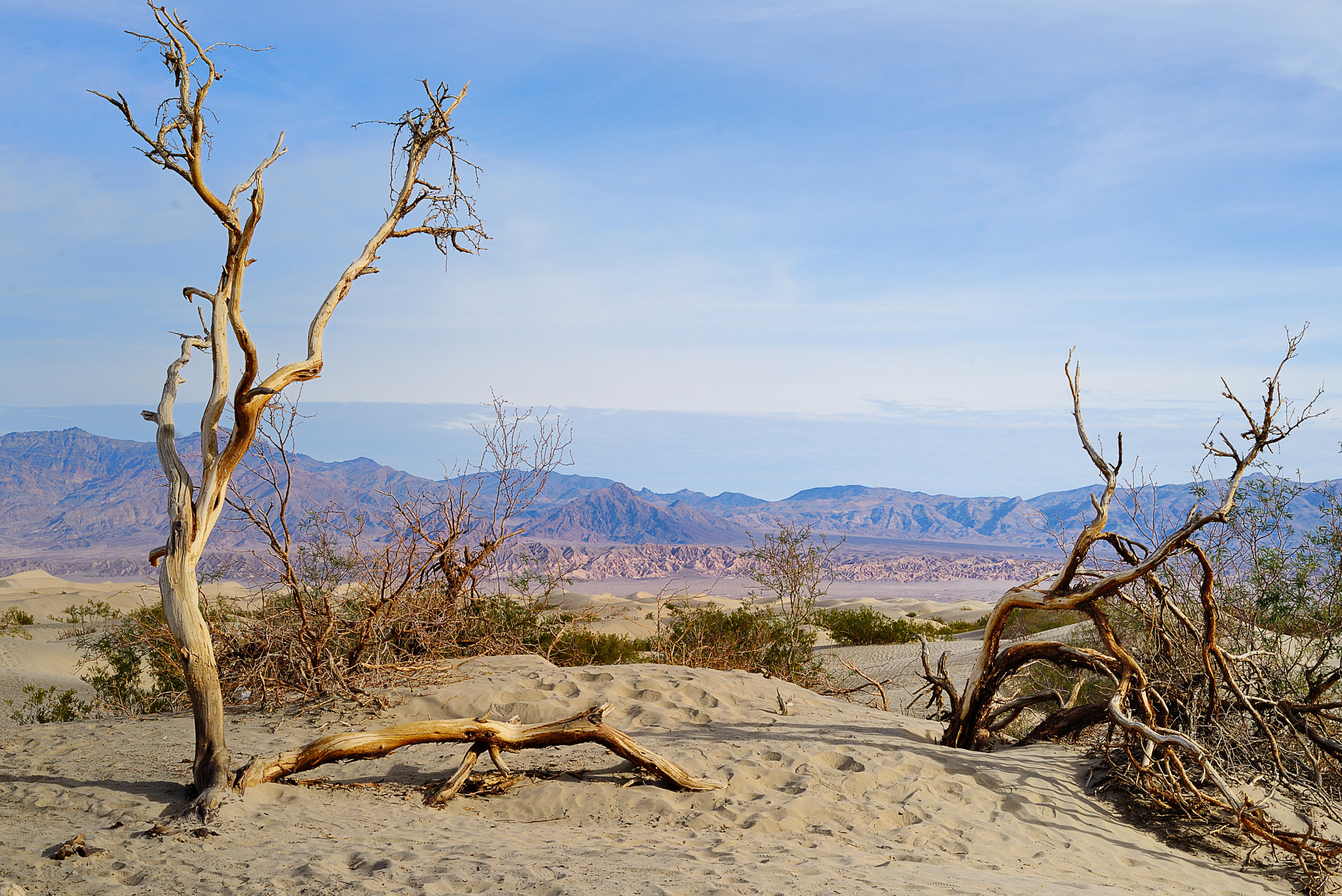 Nikon D600 + Nikon AF-S Nikkor 50mm F1.8G sample photo. Deathvalley photography