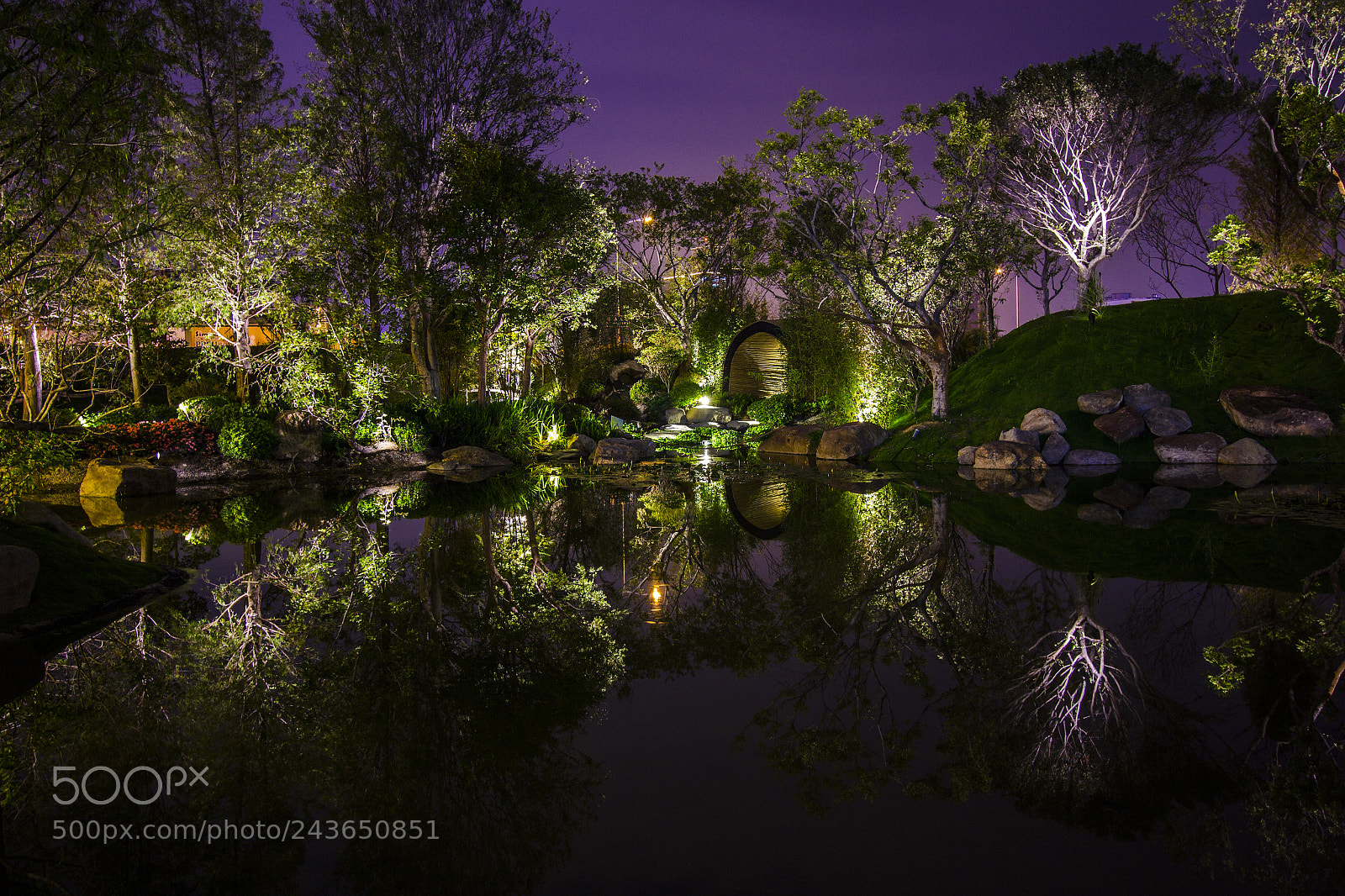 Canon EOS 60D sample photo. Water garden photography