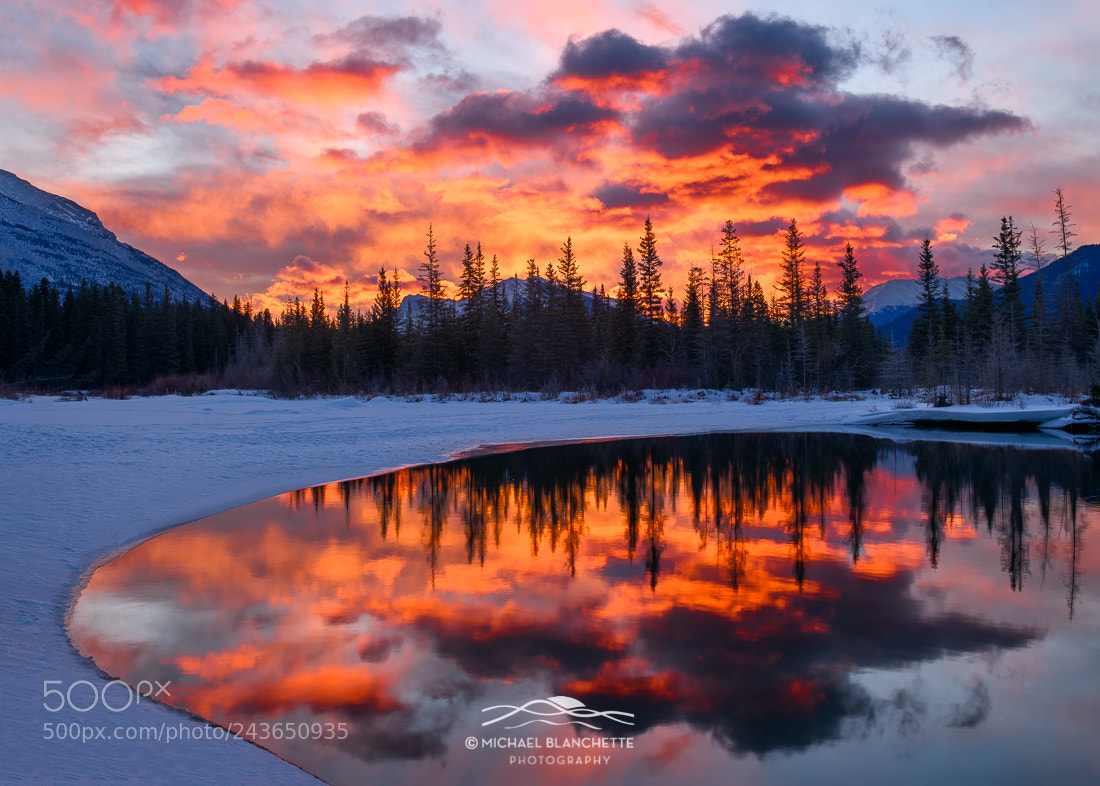 Nikon D850 sample photo. Bow river bend photography