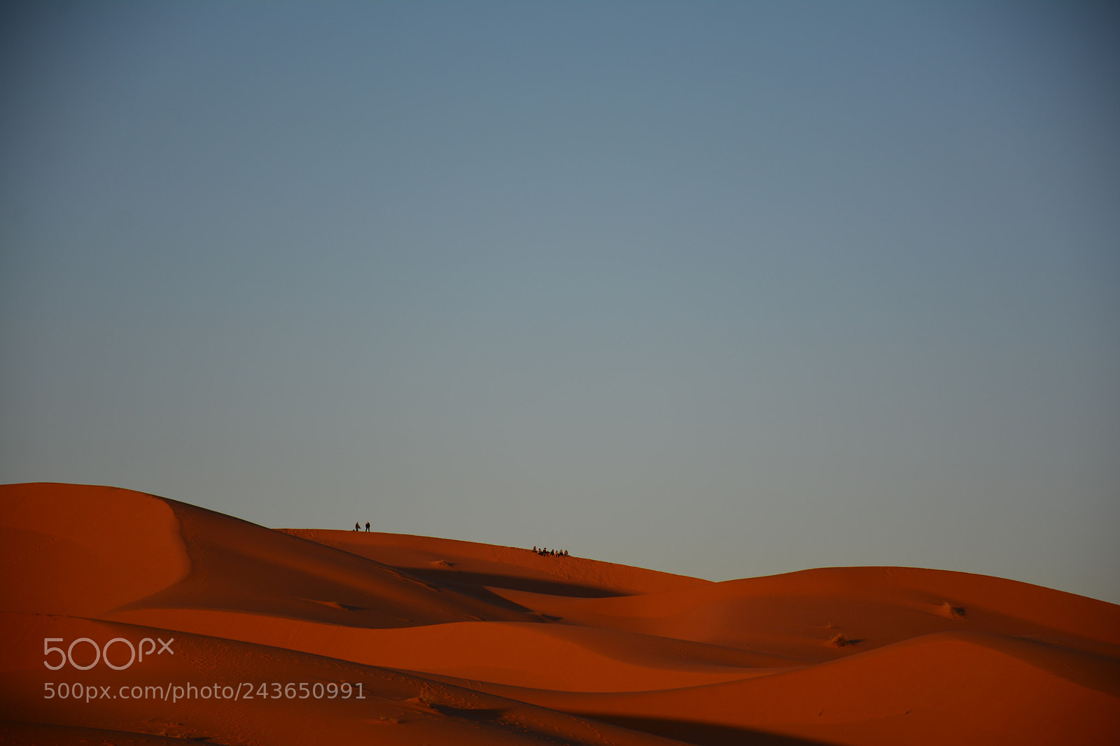 Nikon D7100 sample photo. Sahara photography