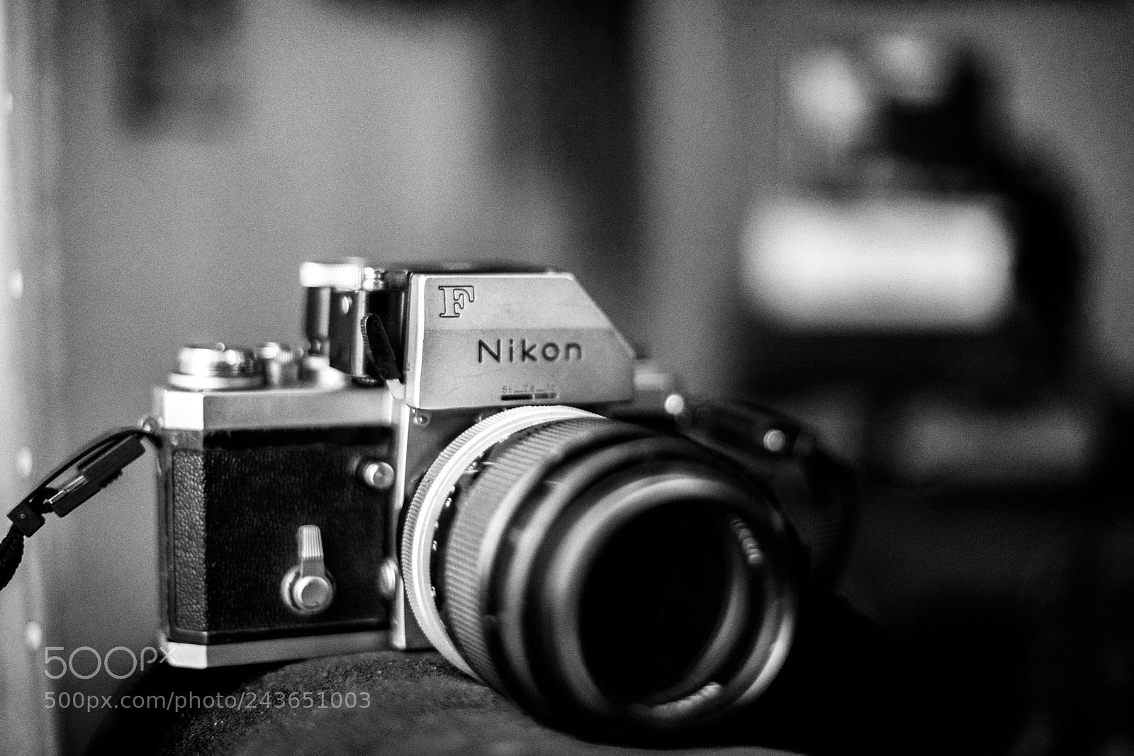 Sony a7 II sample photo. Madame nikon photography