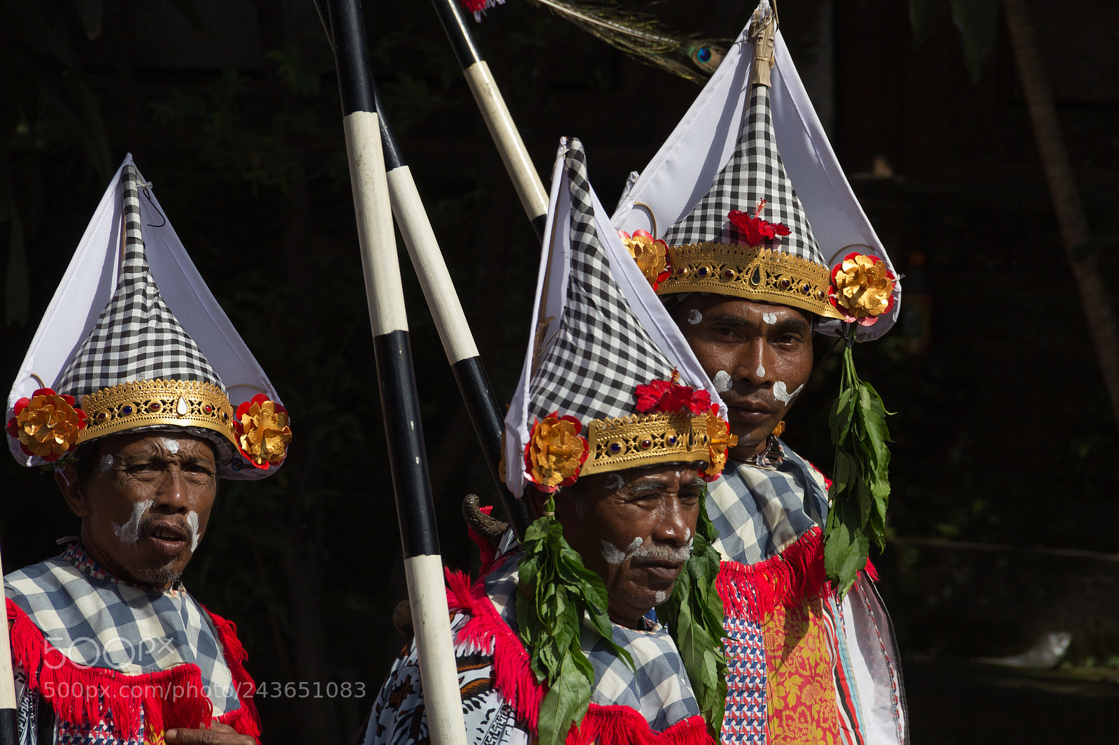 Canon EOS 60D sample photo. Indonesi ubud cremation ceremonial photography
