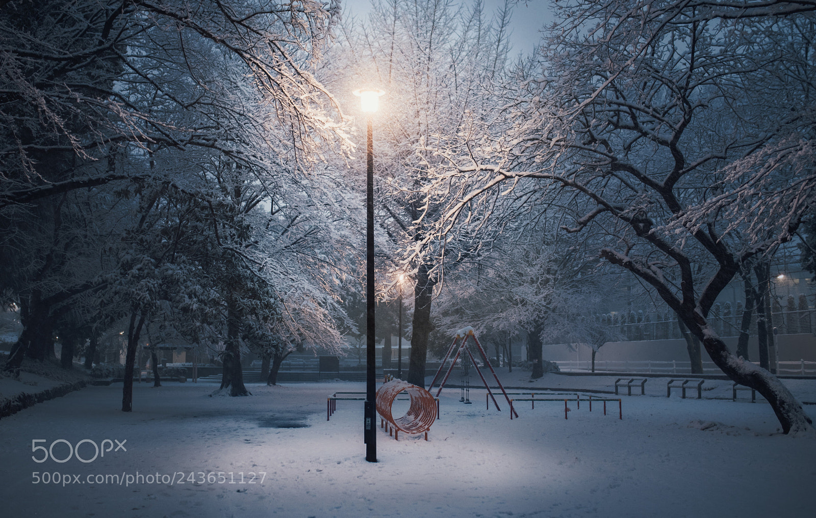 Nikon D850 sample photo. 东京2018初雪。 photography